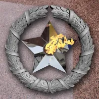 Венок вечный огонь чугун звезда нержавеющая сталь в Москве (518577)